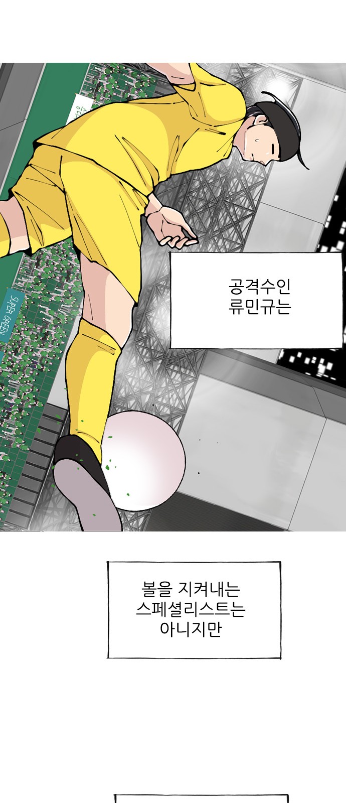 46 페이지