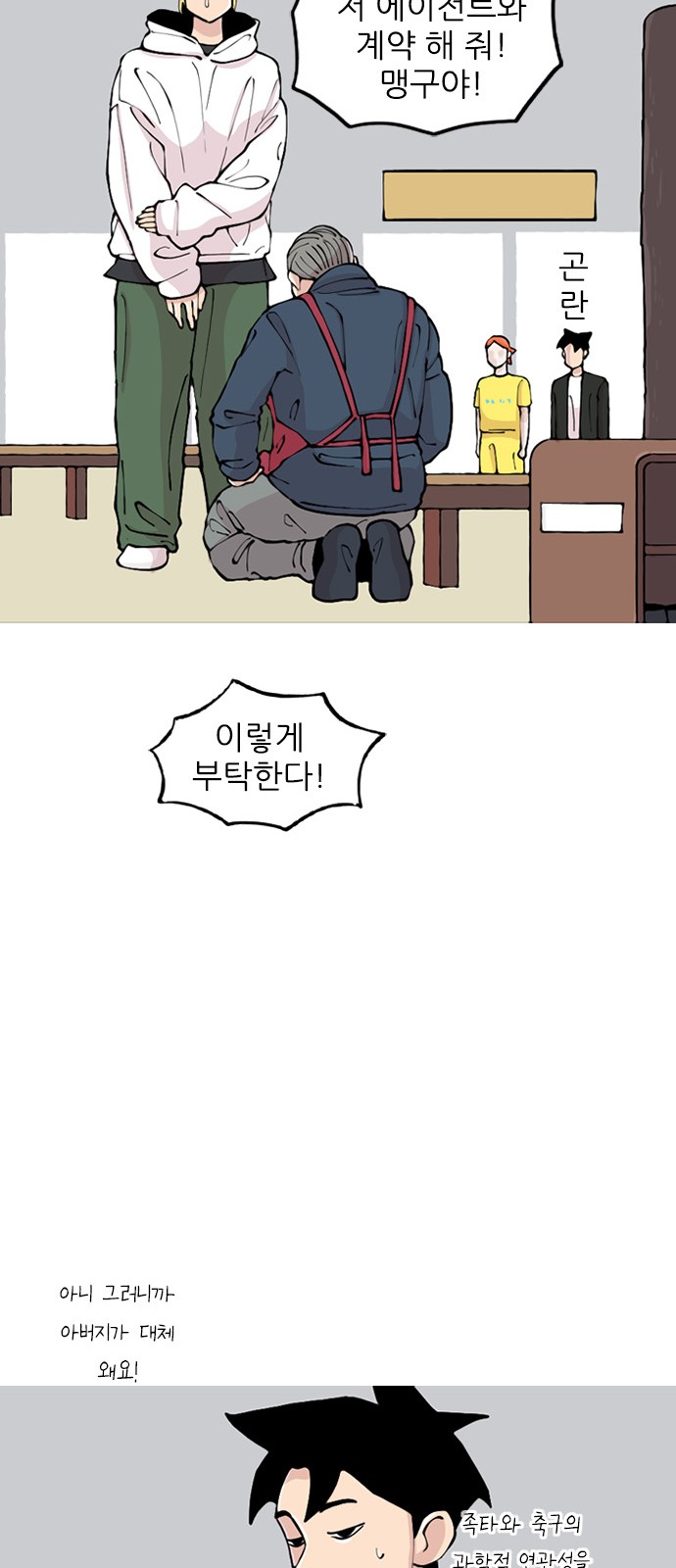 43 페이지