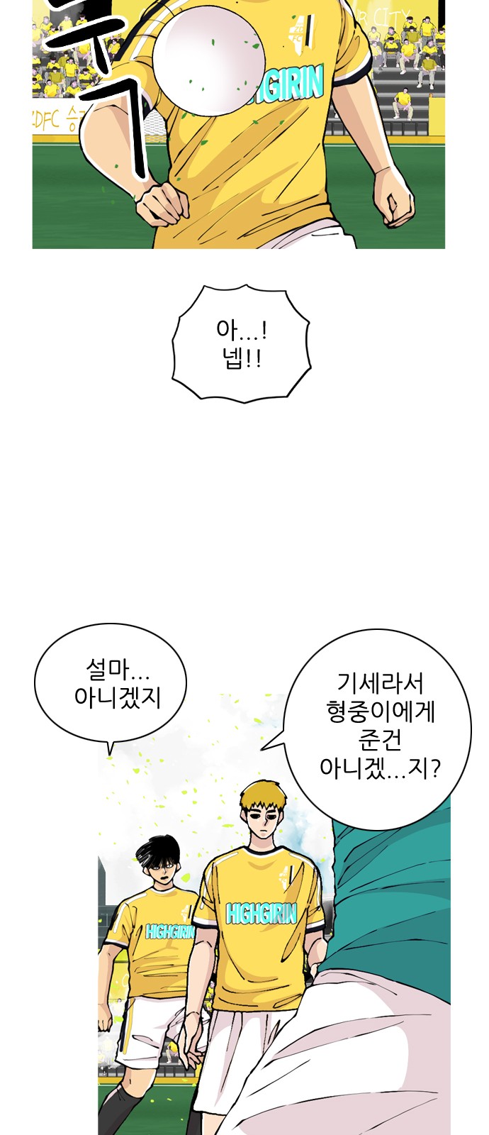 20 페이지