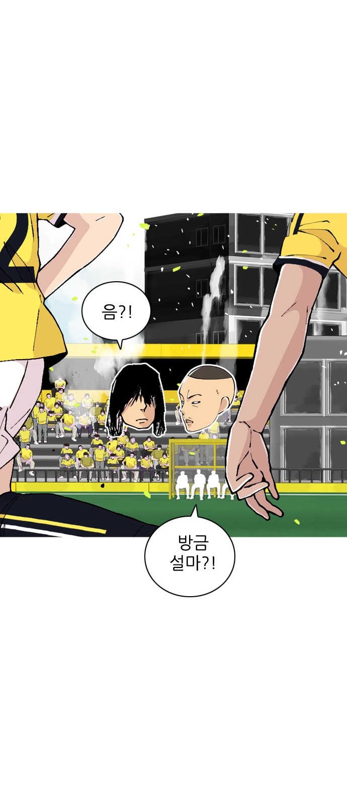 29 페이지