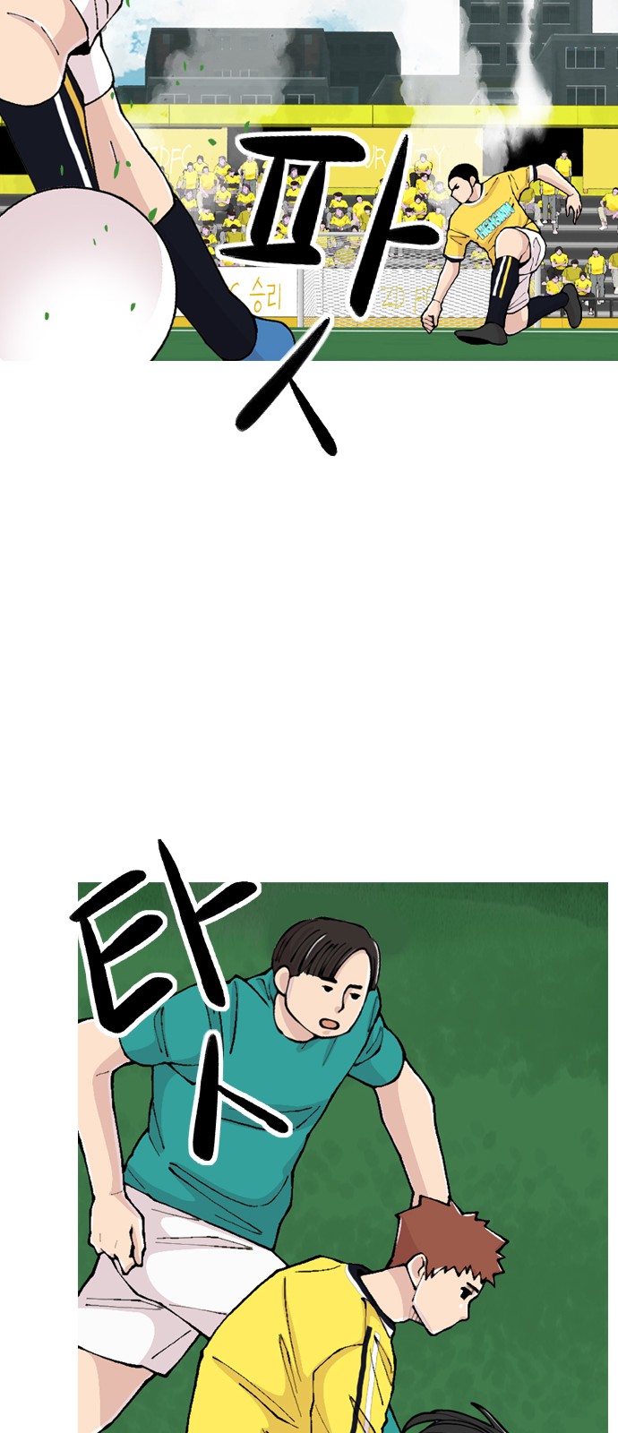 36 페이지