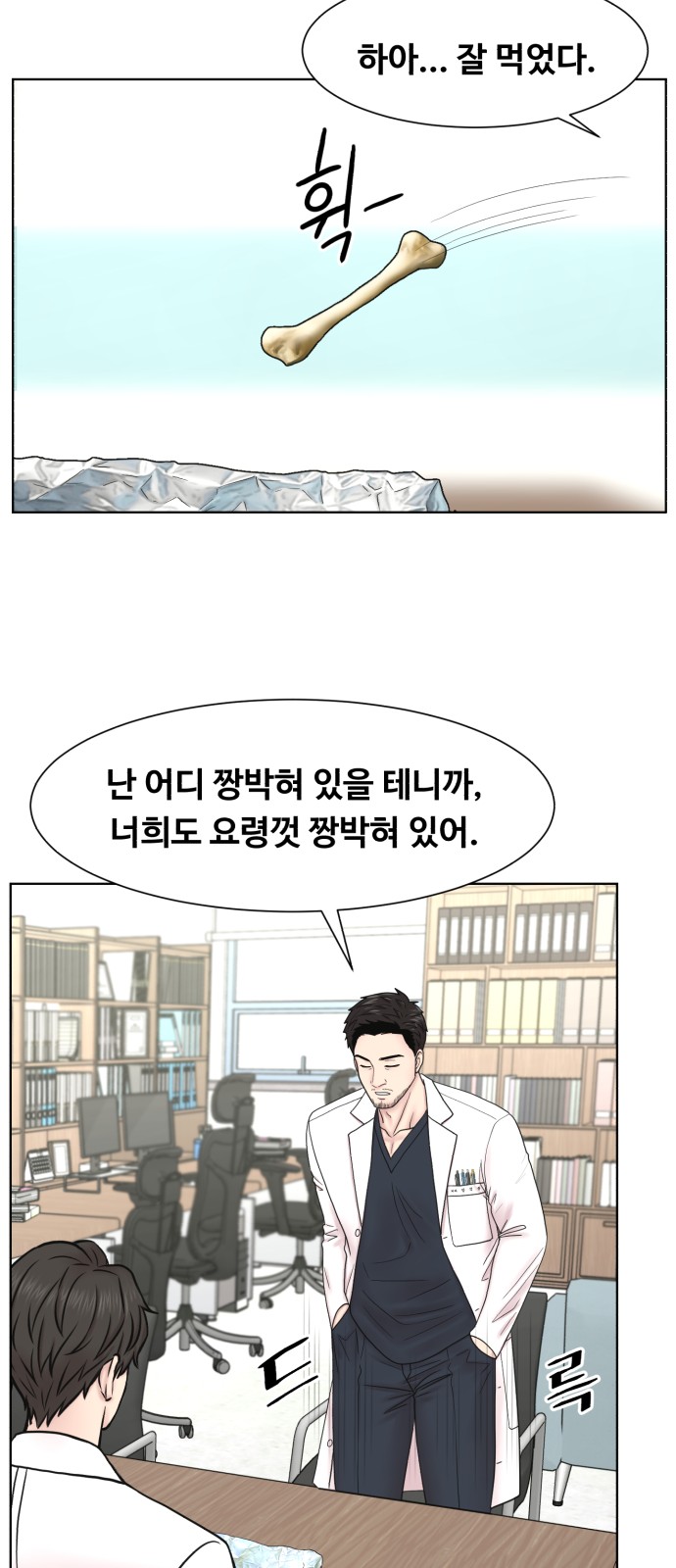 29 페이지