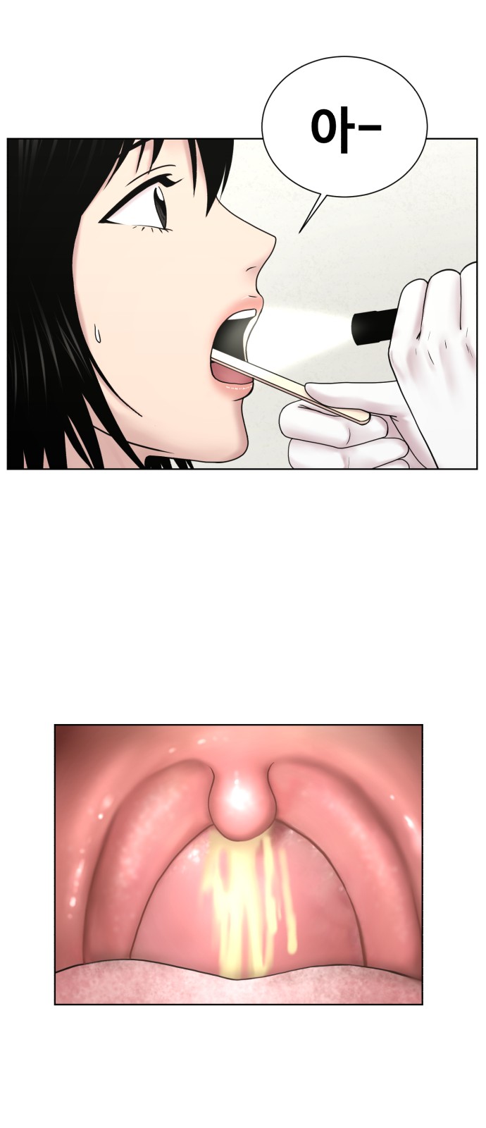 31 페이지