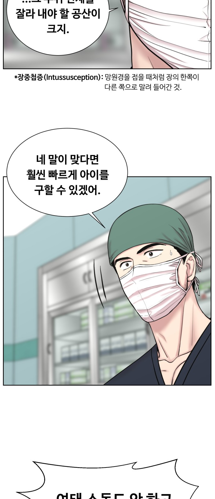 31 페이지