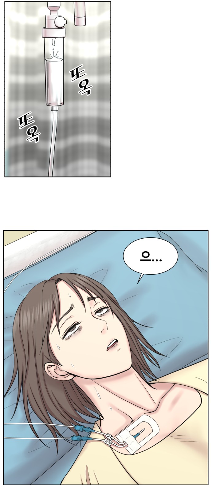 33 페이지