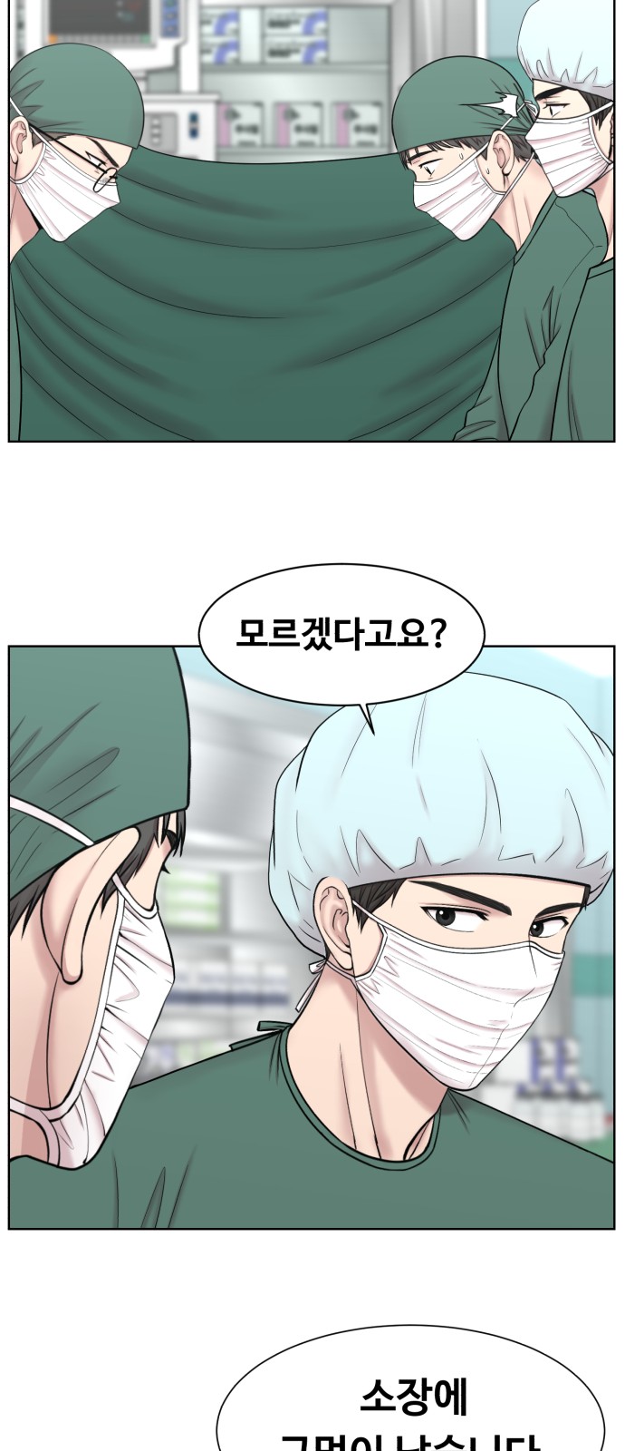 31 페이지