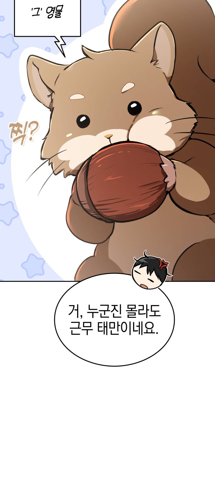 45 페이지