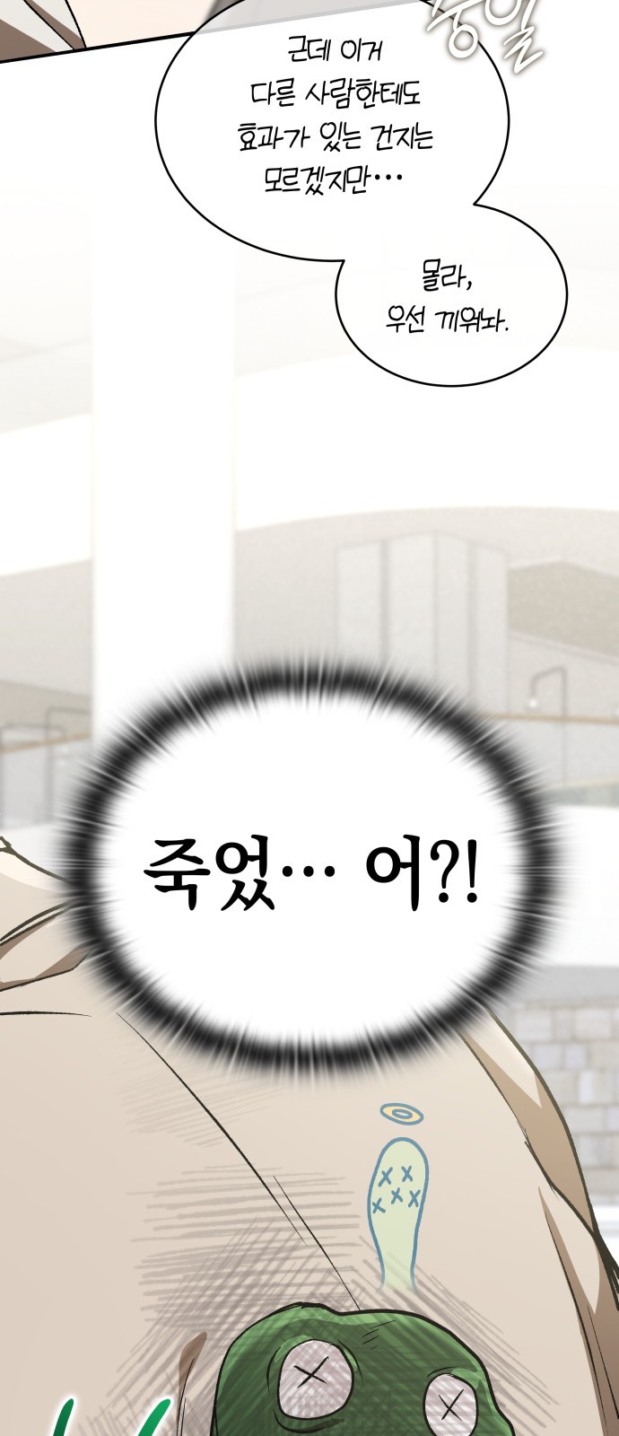 33 페이지