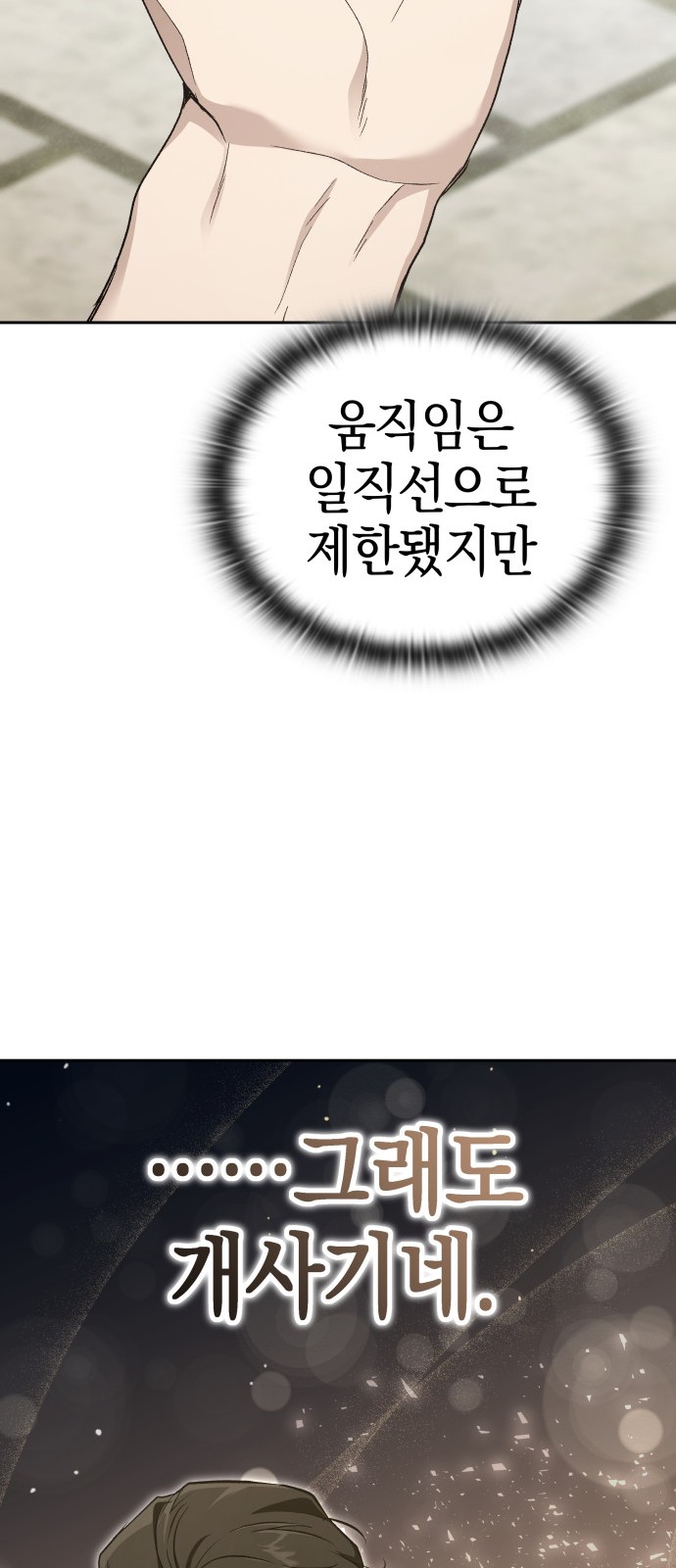 86 페이지