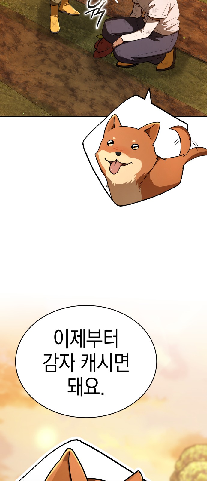 41 페이지
