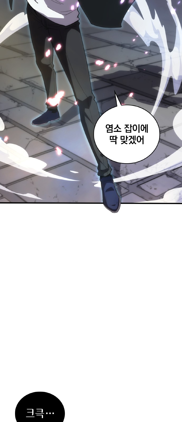 81 페이지