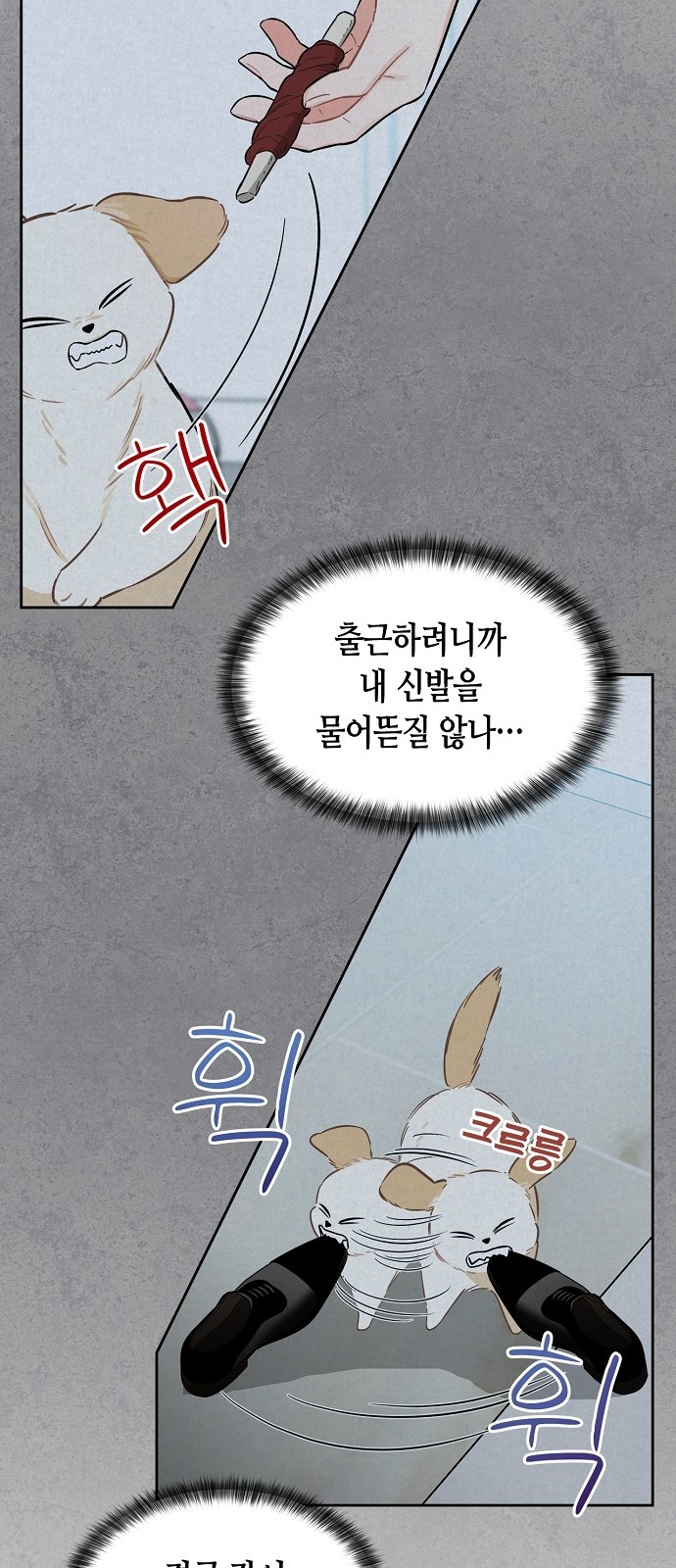 17 페이지