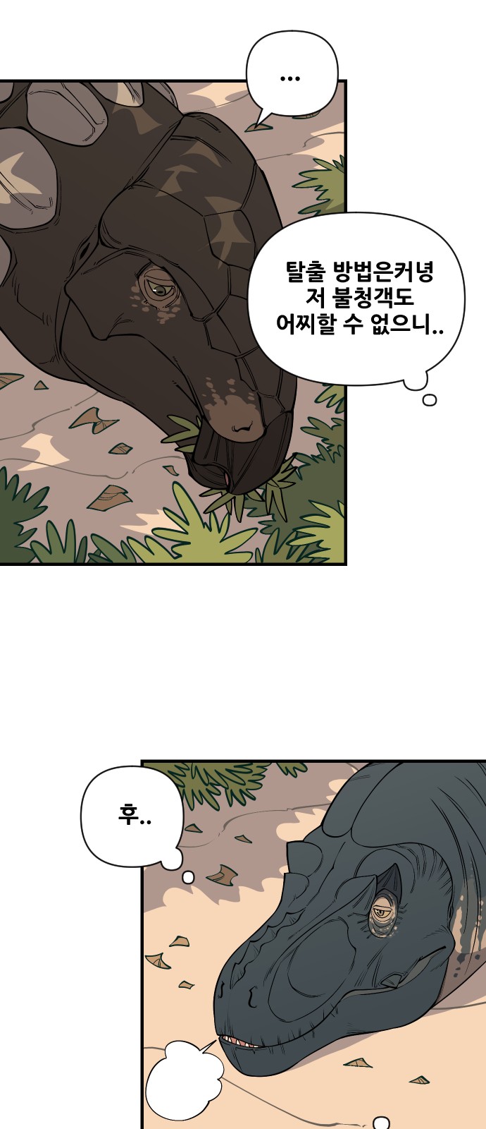 43 페이지