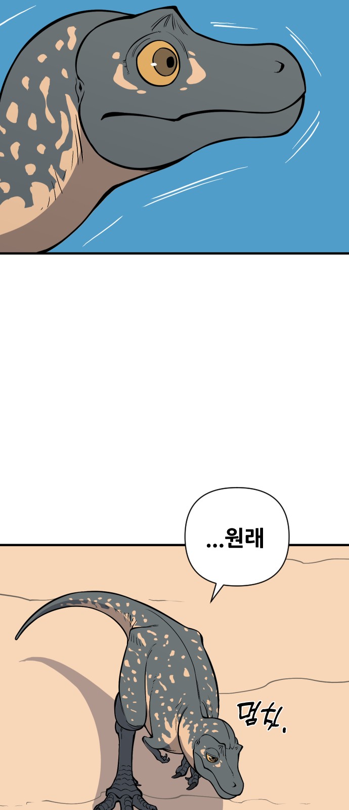 41 페이지