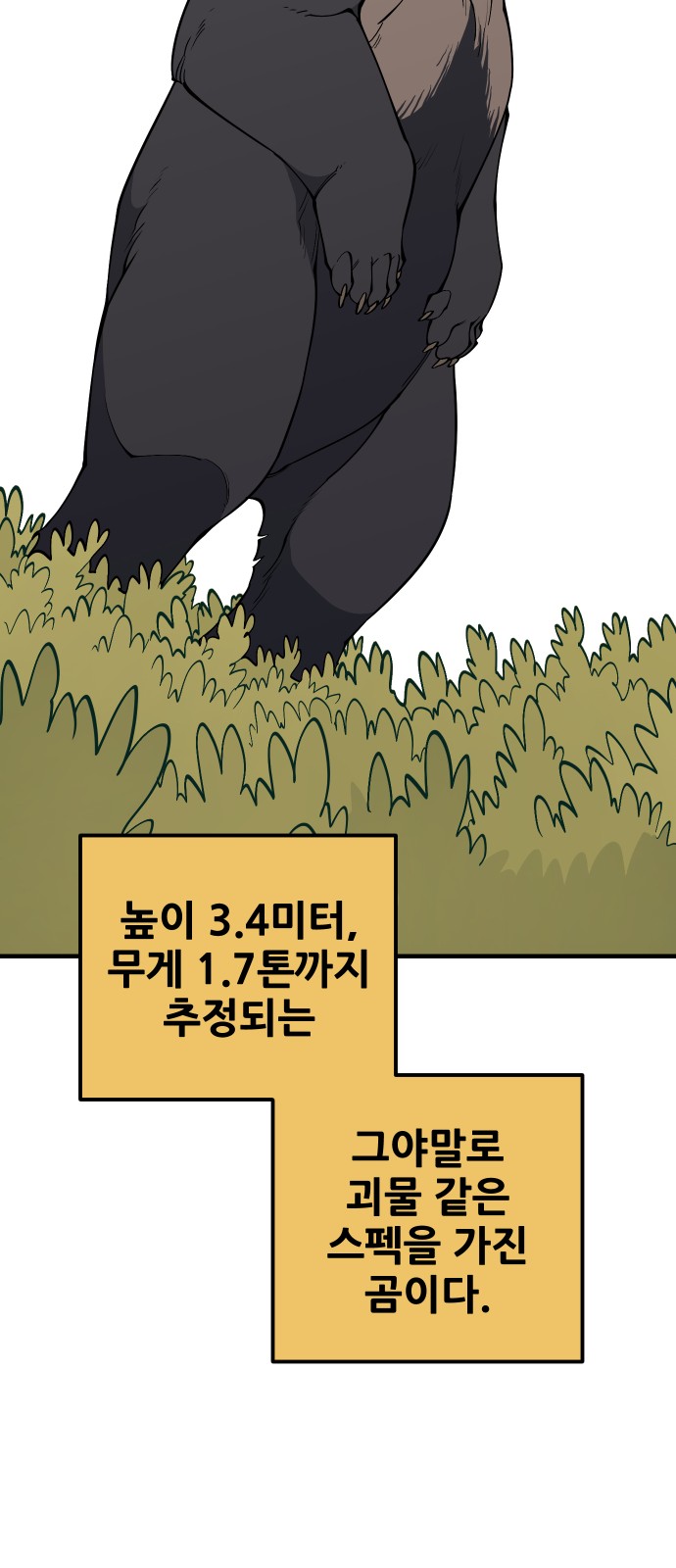 42 페이지