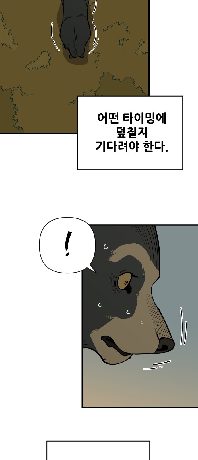 35 페이지