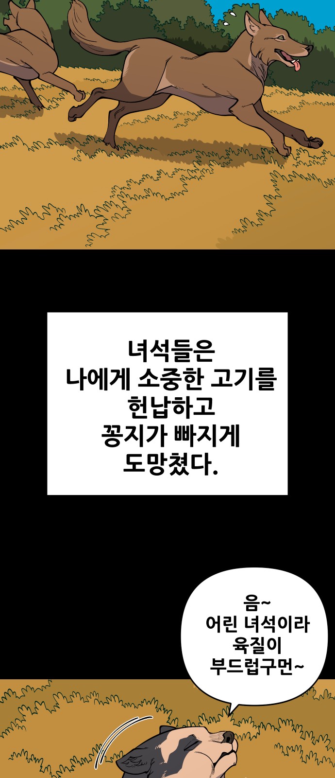 35 페이지