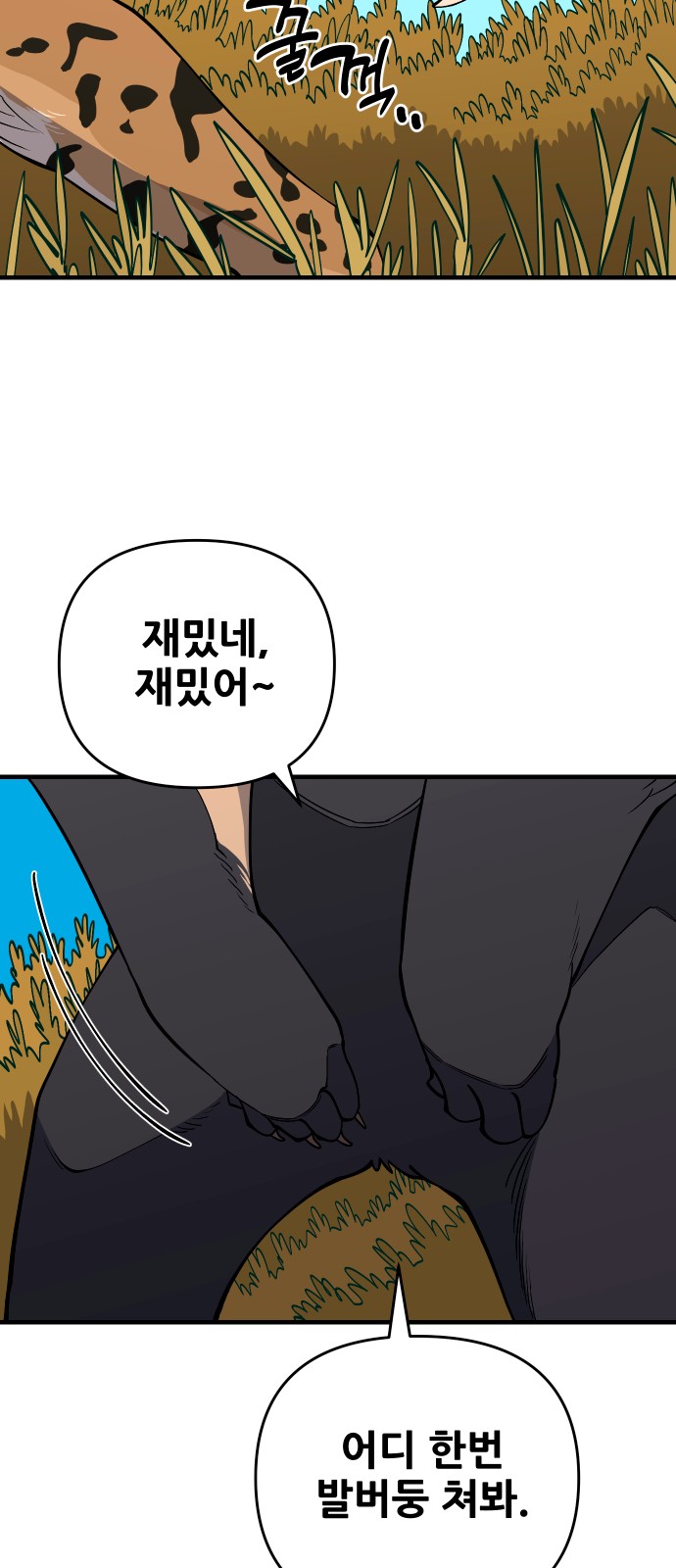 71 페이지