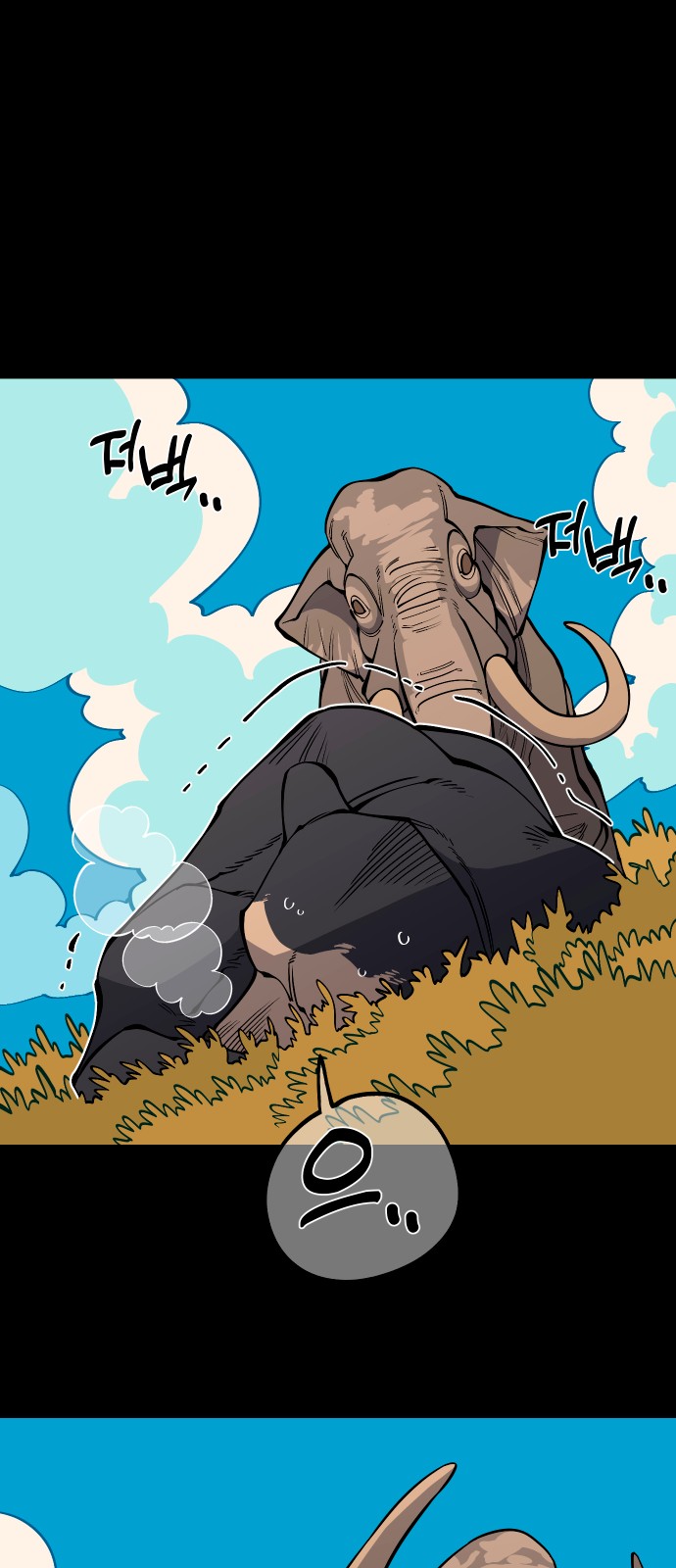 14 페이지