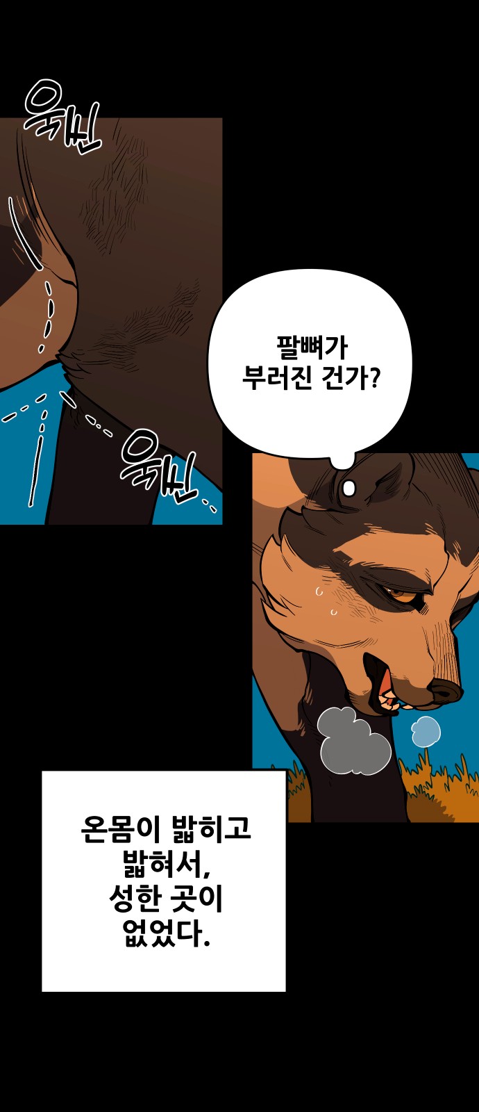 26 페이지