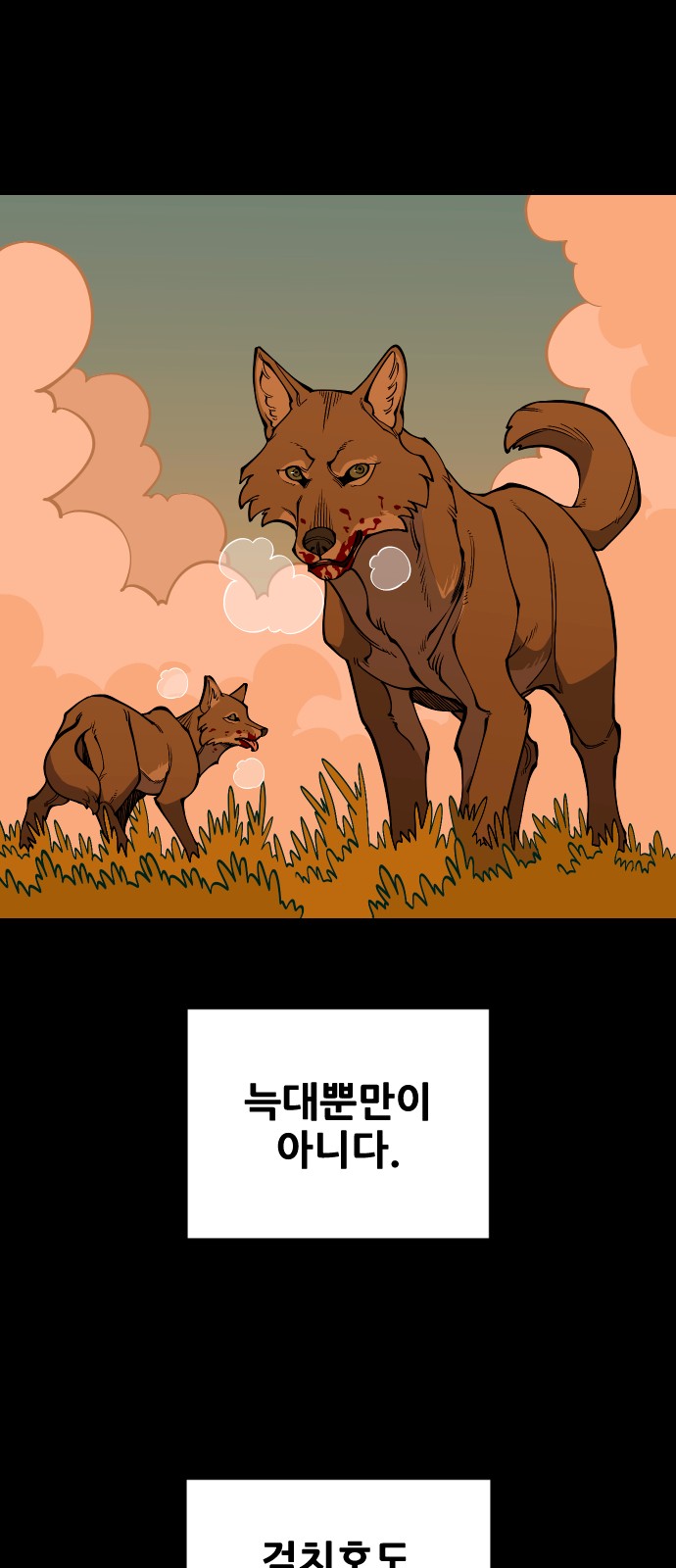 43 페이지