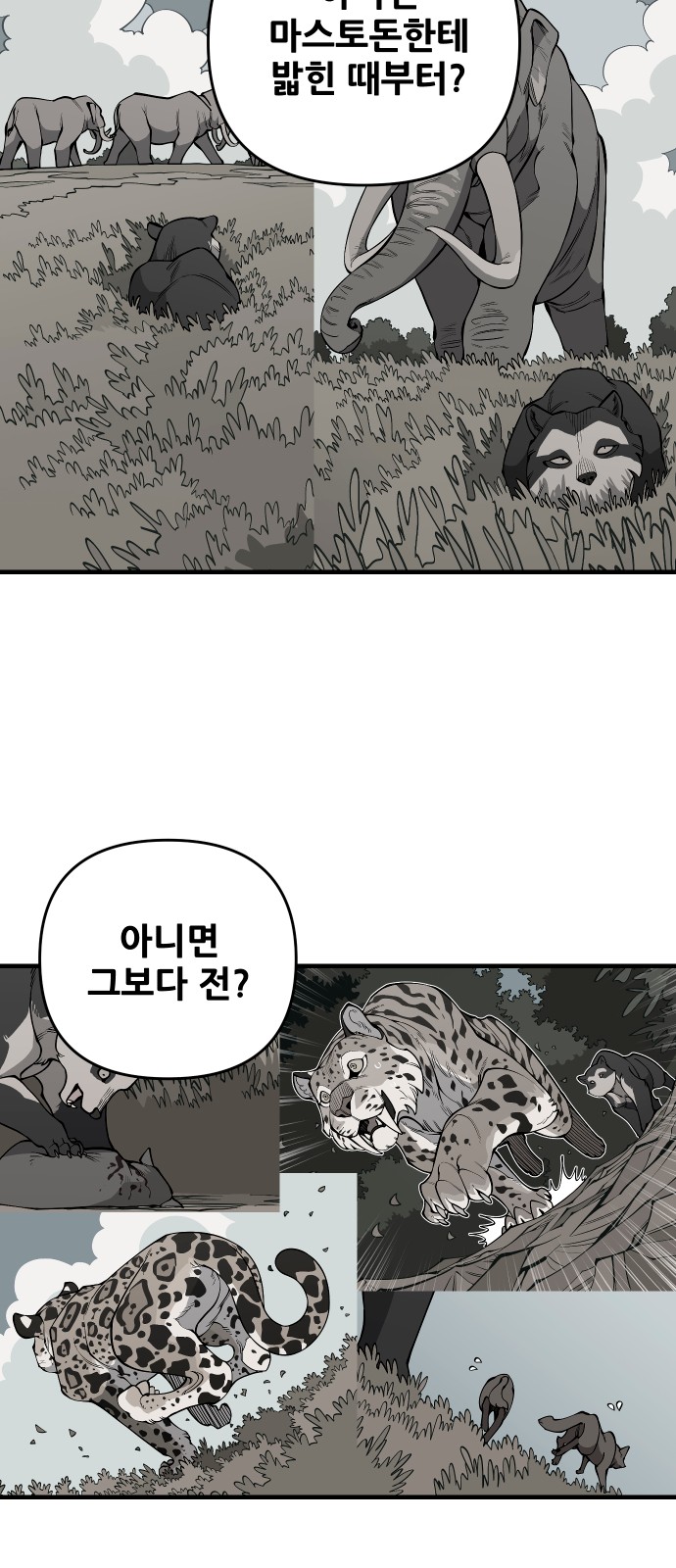54 페이지