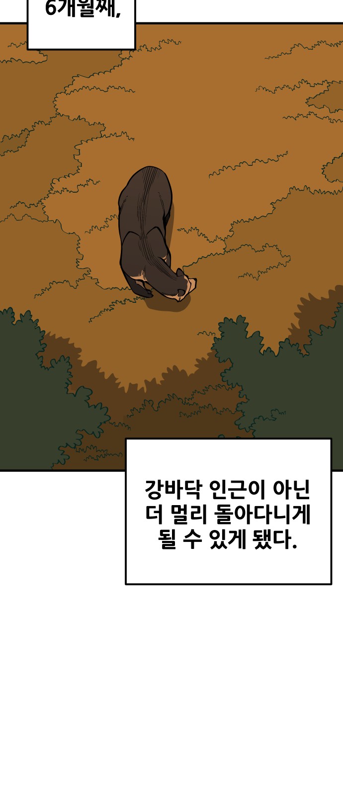 41 페이지