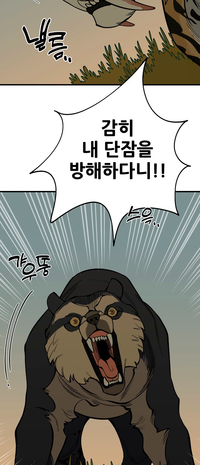 42 페이지