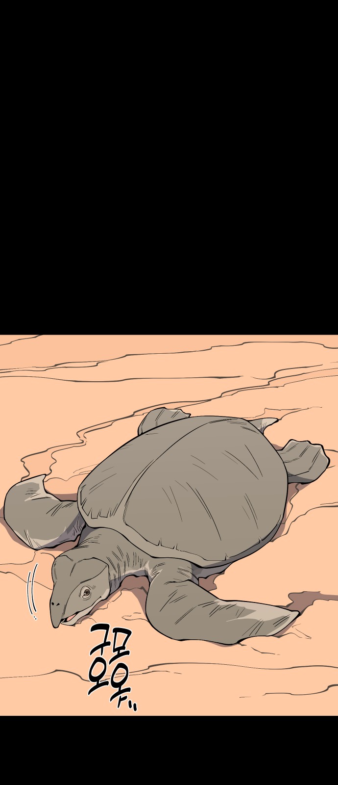 35 페이지