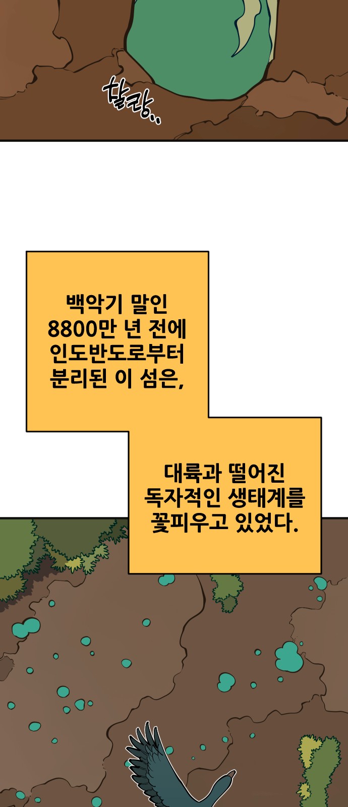 14 페이지