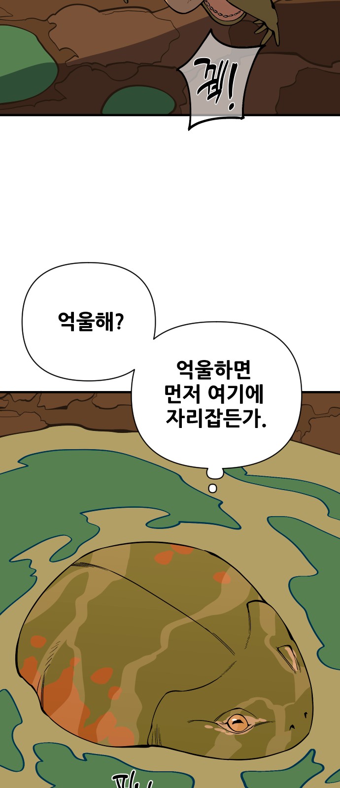 66 페이지