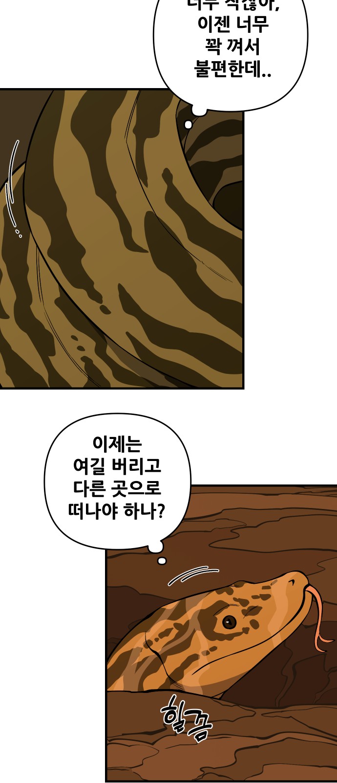 52 페이지