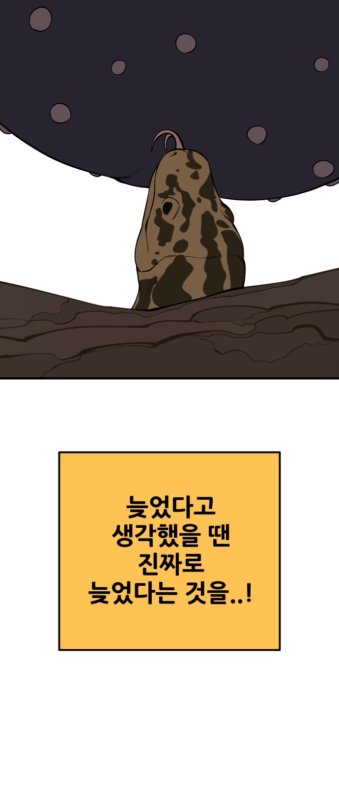 78 페이지
