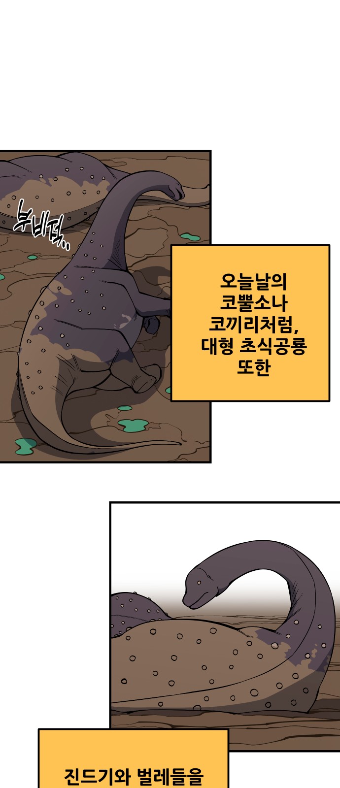 80 페이지
