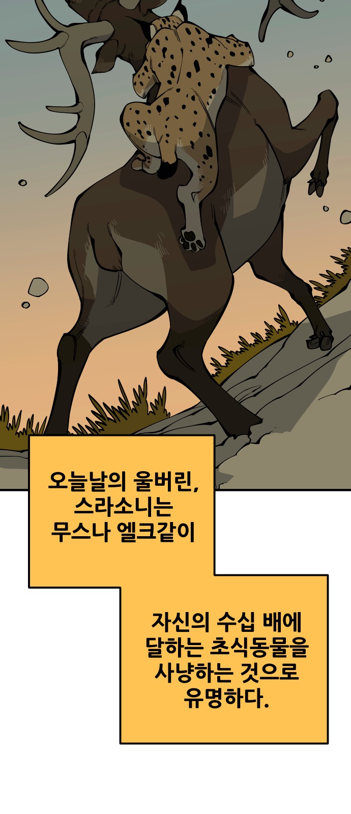 51 페이지