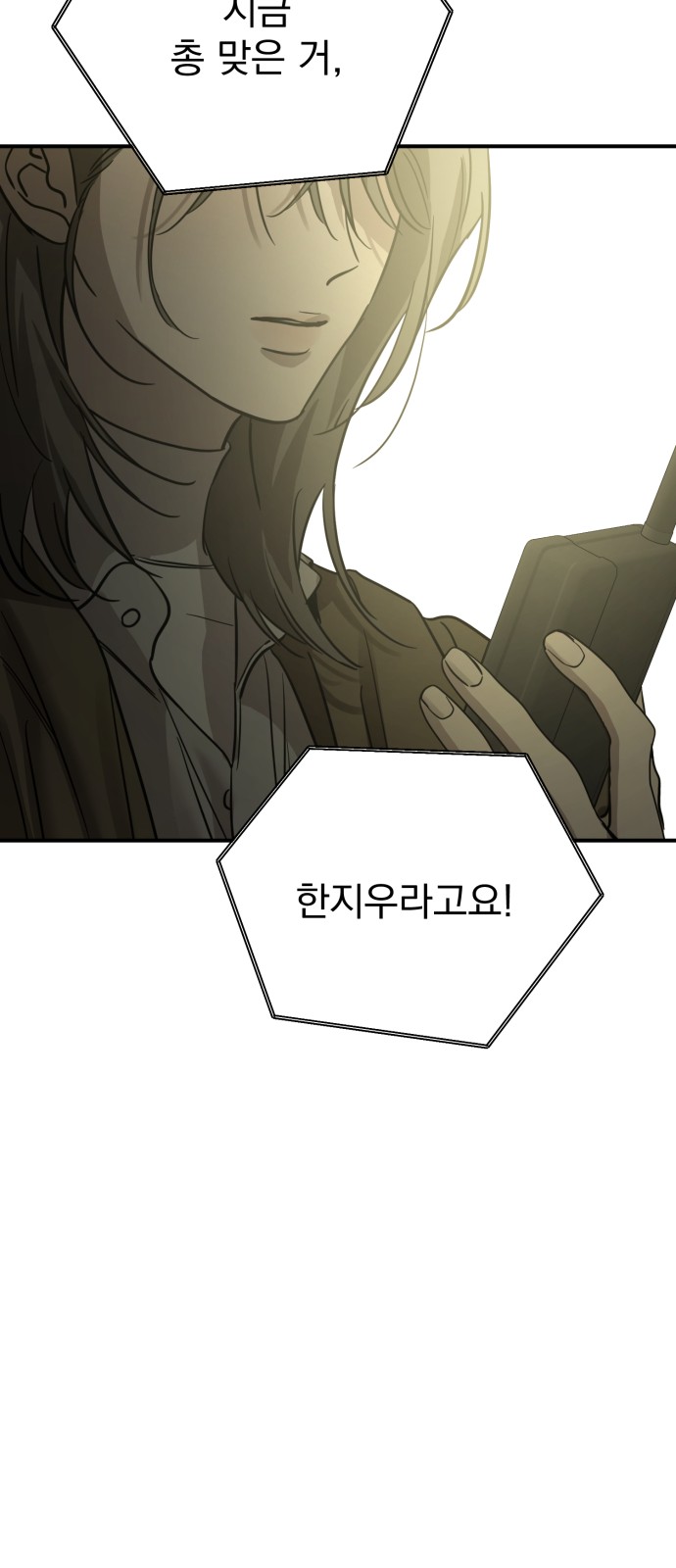 85 페이지