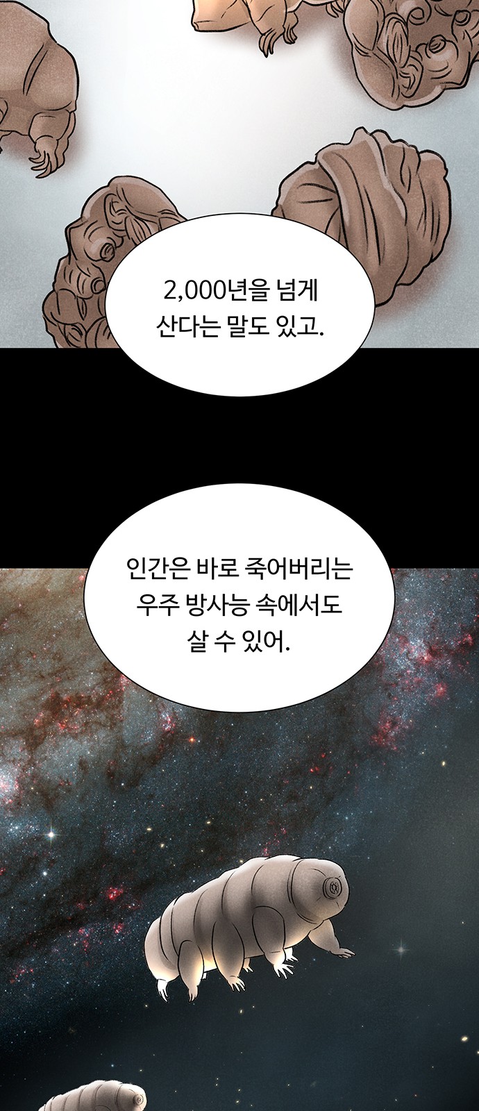 87 페이지