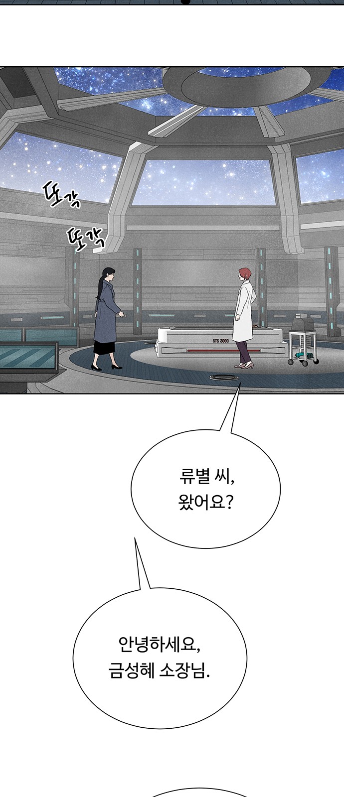 81 페이지