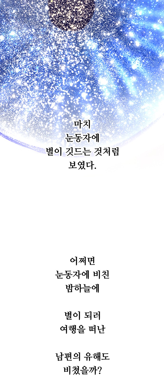 95 페이지