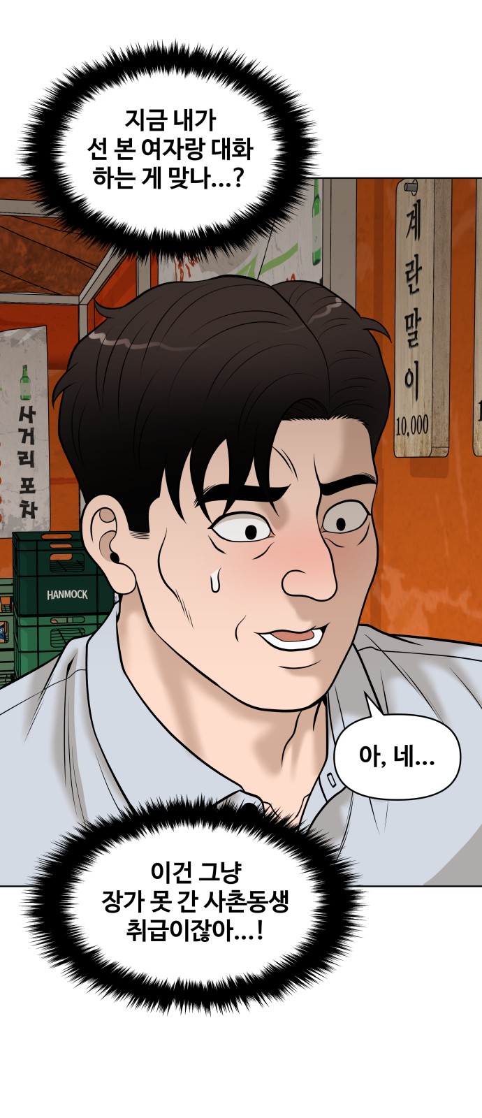 66 페이지