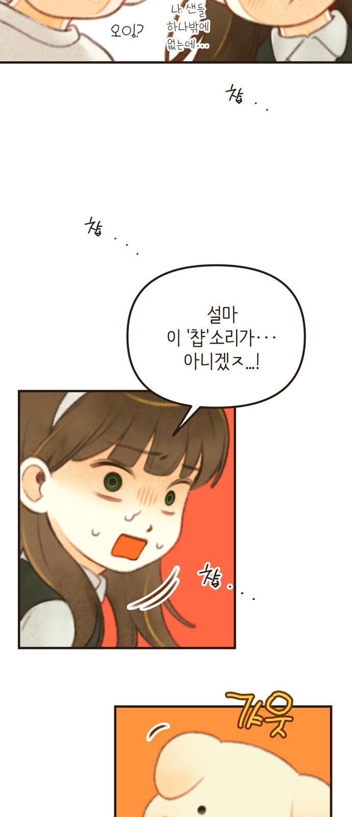 17 페이지