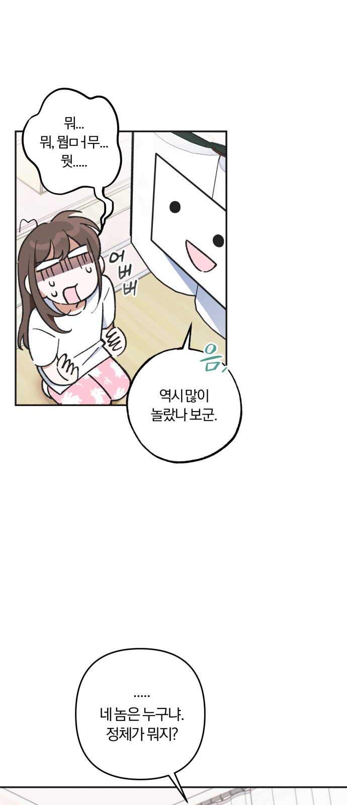 43 페이지