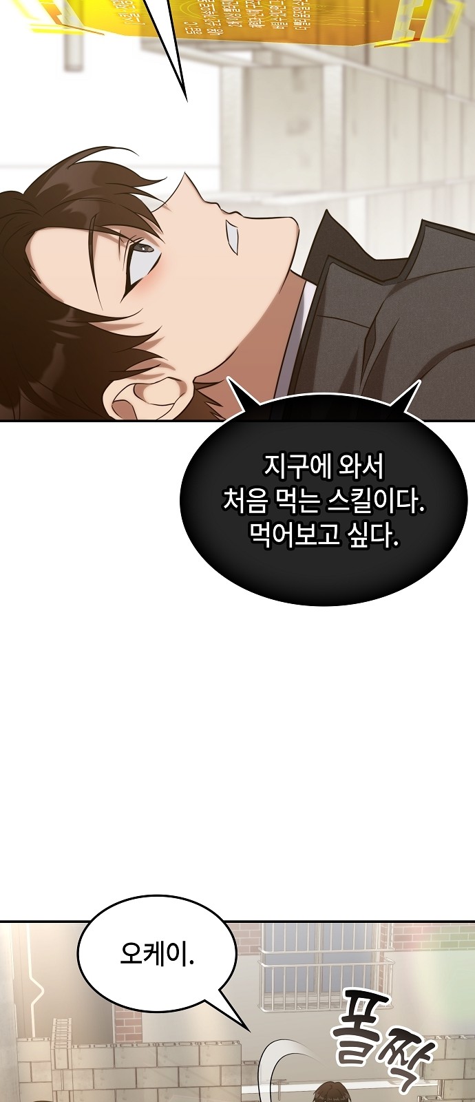 52 페이지