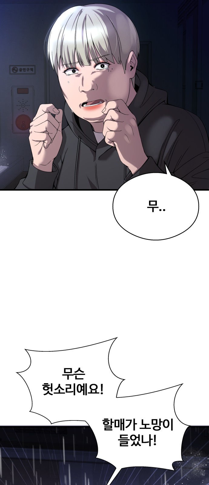 33 페이지