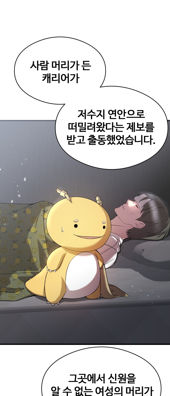 43 페이지