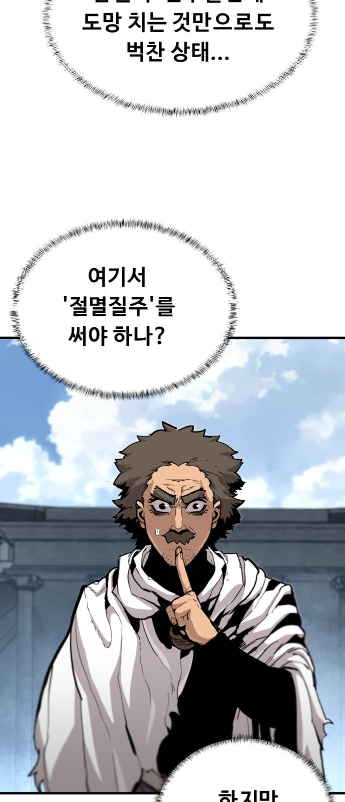 66 페이지