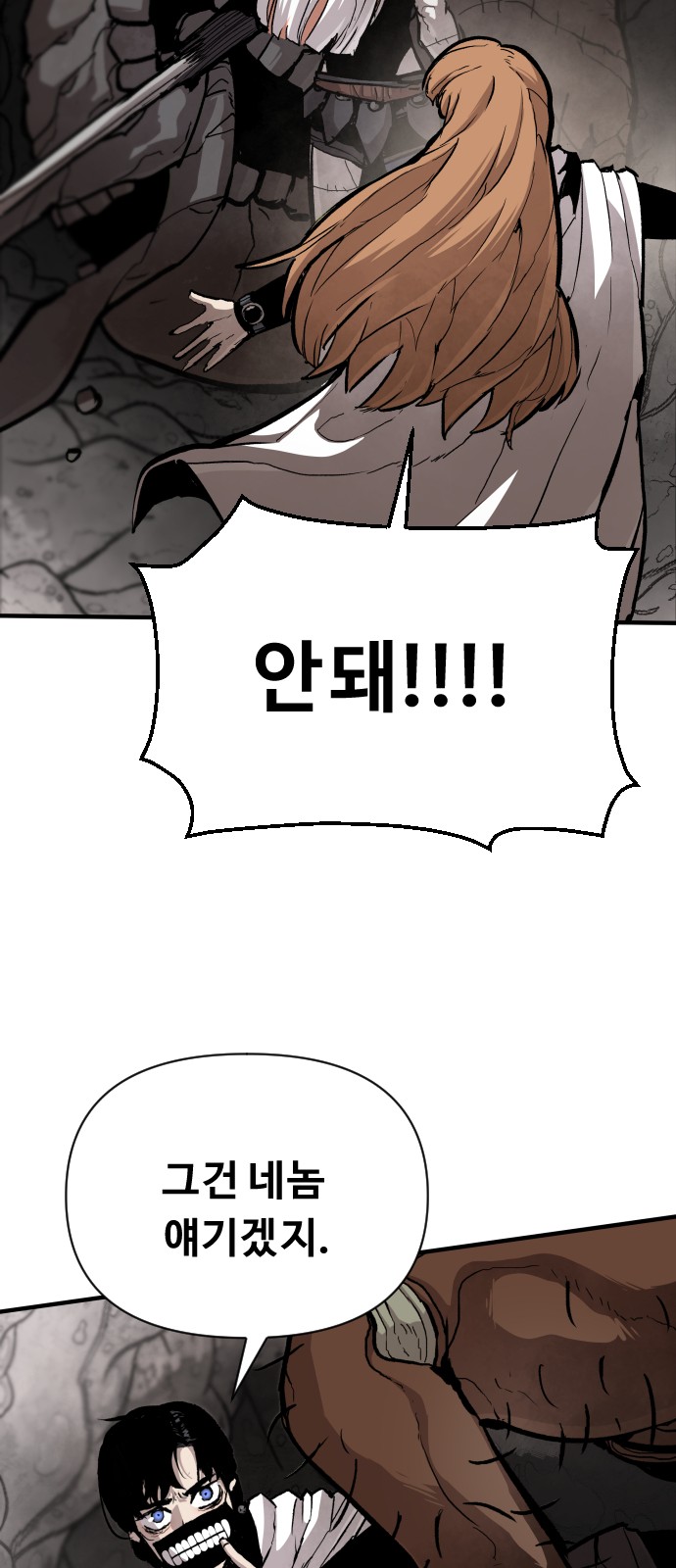 66 페이지