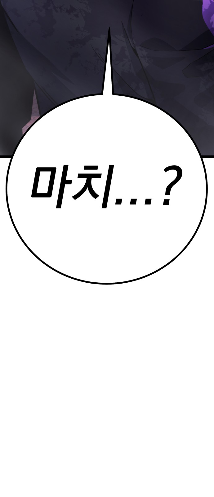 113 페이지