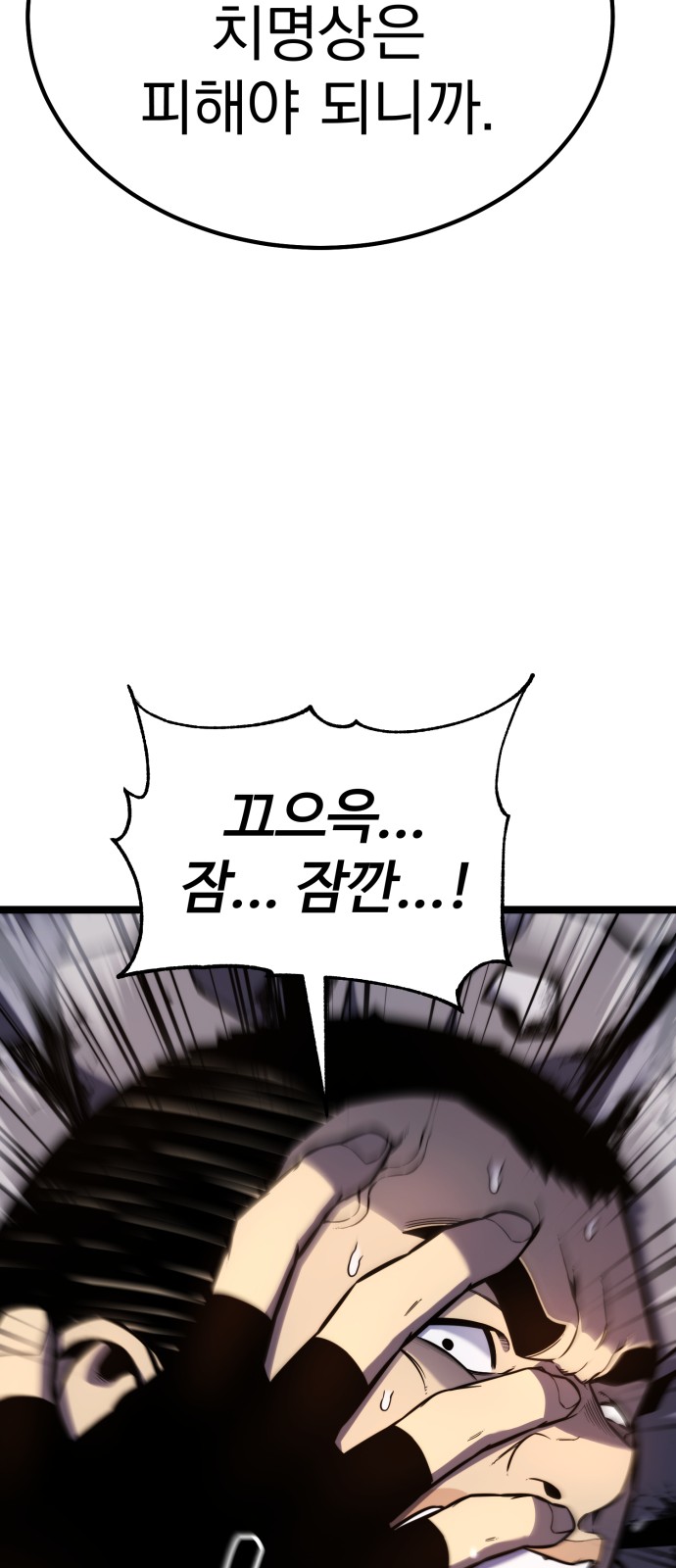 66 페이지