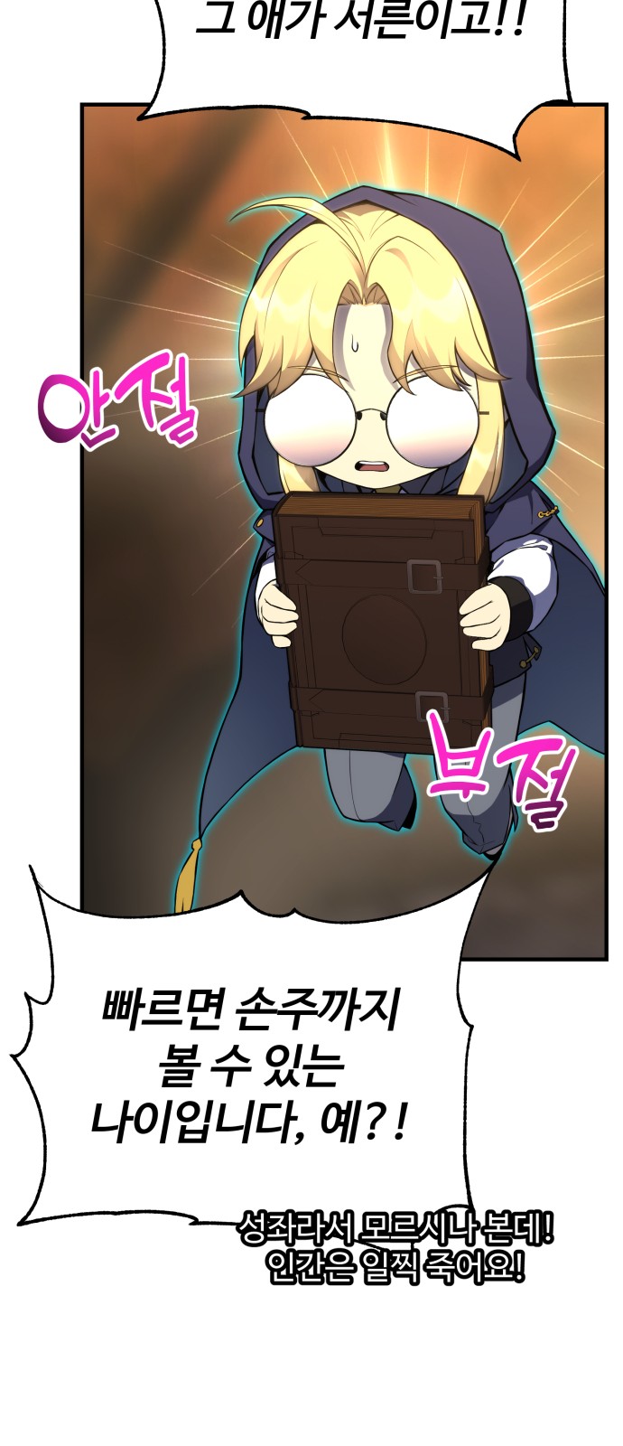 46 페이지